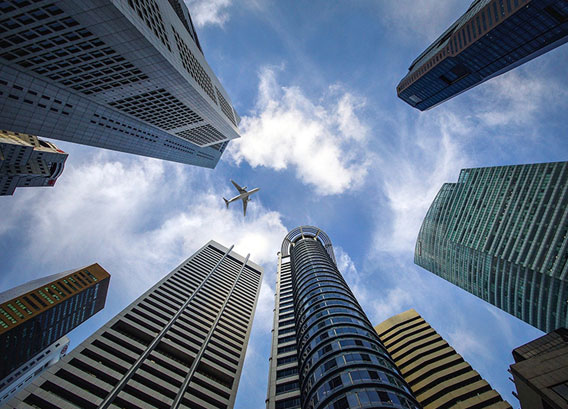 东莞市XX有限公司