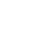 东莞市XX有限公司