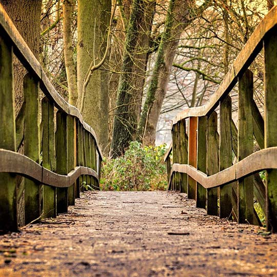 东莞市XX有限公司 东莞市XX有限公司