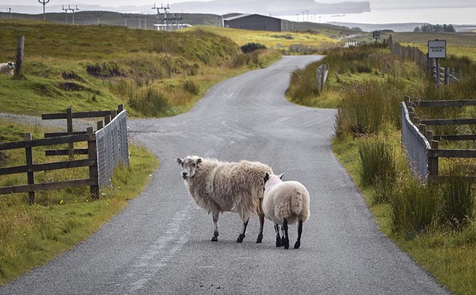 东莞市XX有限公司